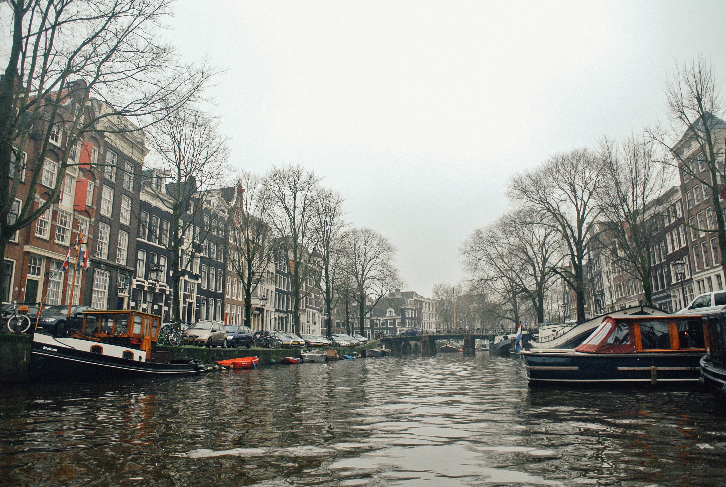 Living And Working In The Netherlands: The Ultimate Guide